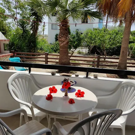 Palm Garden Paradise
