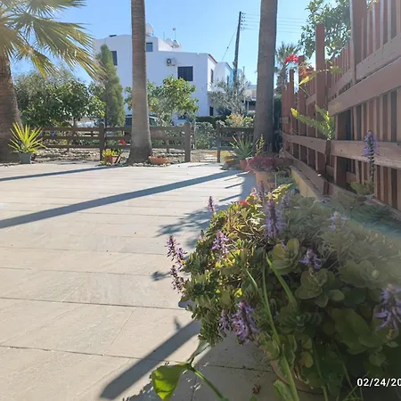 Palm Garden Paradise Perivolia