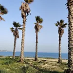 Palm Garden Paradise