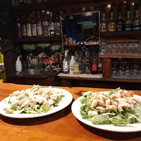 Palm Garden Paradise