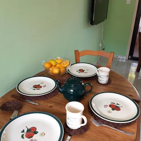 Palm Garden Paradise