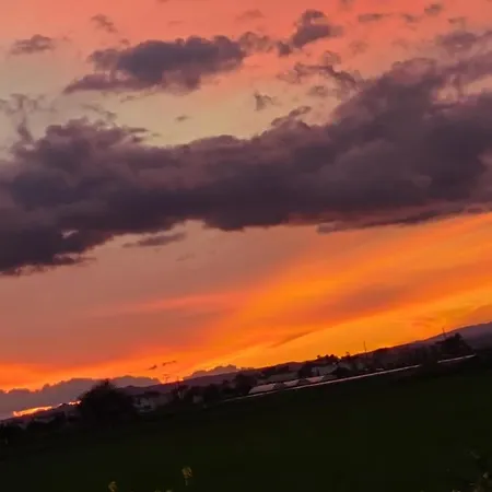 Palm Garden Paradise * Περβόλια