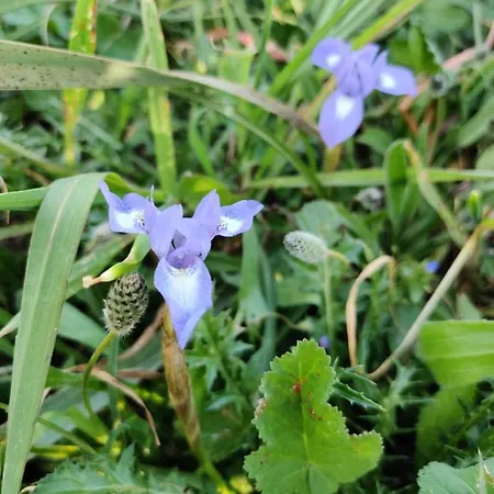 Palm Garden Paradise Дом отдыха