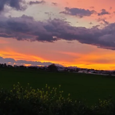 Palm Garden Paradise Σπίτι διακοπών *