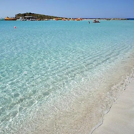 Palm Garden Paradise *