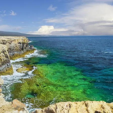 Casa vacanze Palm Garden Paradise