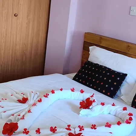 Дом отдыха Palm Garden Paradise