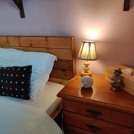 Palm Garden Paradise