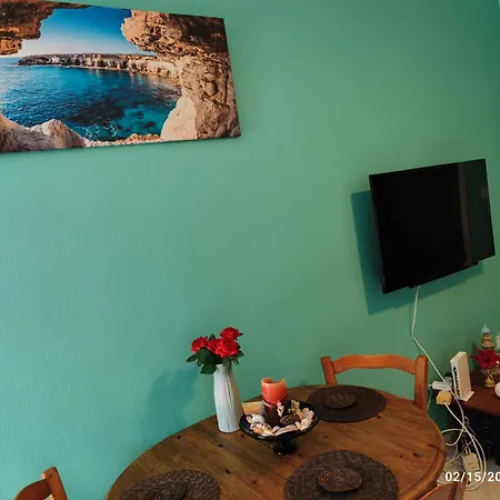 Palm Garden Paradise