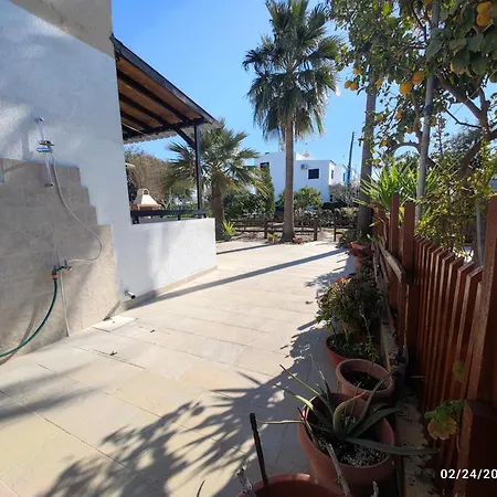 Palm Garden Paradise