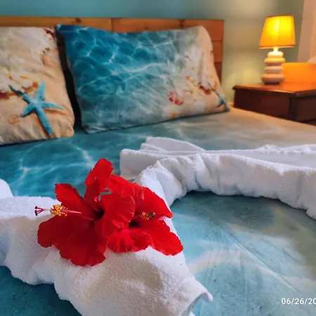 Palm Garden Paradise Perivólia