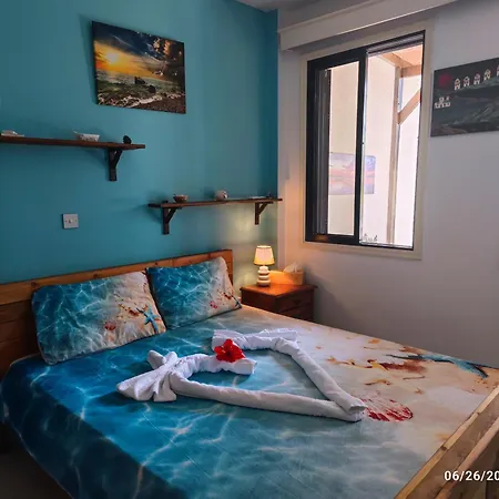 Palm Garden Paradise