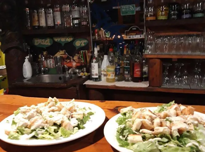 Palm Garden Paradise