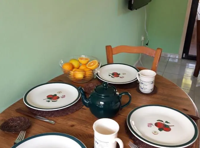 Palm Garden Paradise