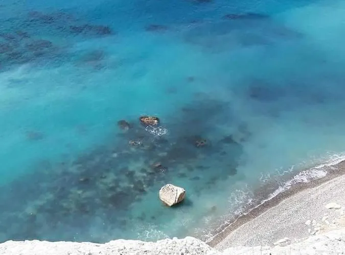 Palm Garden Paradise Prázdninový dům *