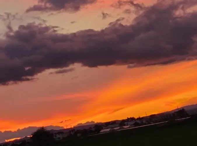 Palm Garden Paradise * Perivolia