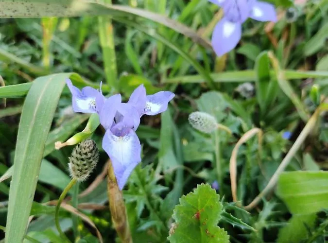 Palm Garden Paradise Σπίτι διακοπών