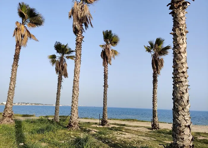 Palm Garden Paradise