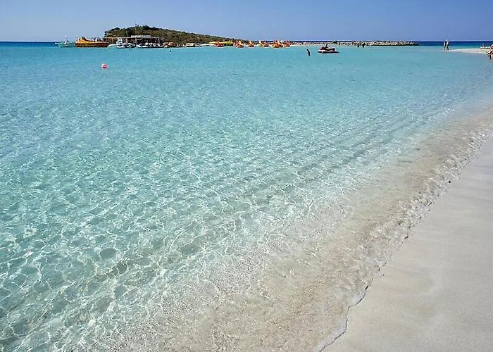 Palm Garden Paradise *