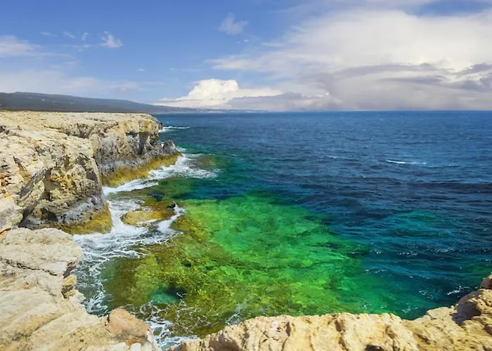 Σπίτι διακοπών Palm Garden Paradise