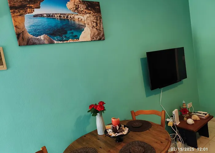 Palm Garden Paradise