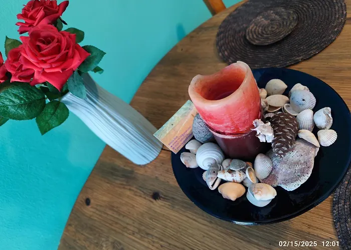 Palm Garden Paradise Prázdninový dům