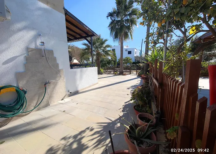 Palm Garden Paradise