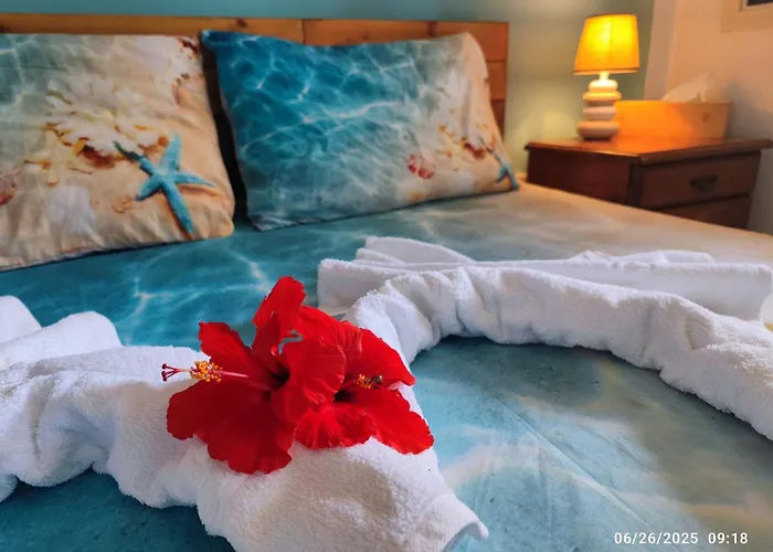 Palm Garden Paradise Περβόλια